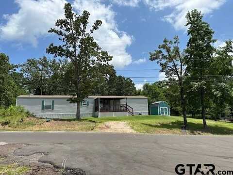 17323 Lakeview Dr, Flint, TX 75762