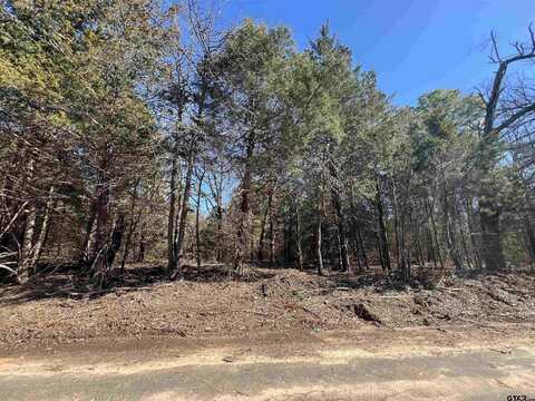 TBD CR 3113, Pittsburg, TX 75686