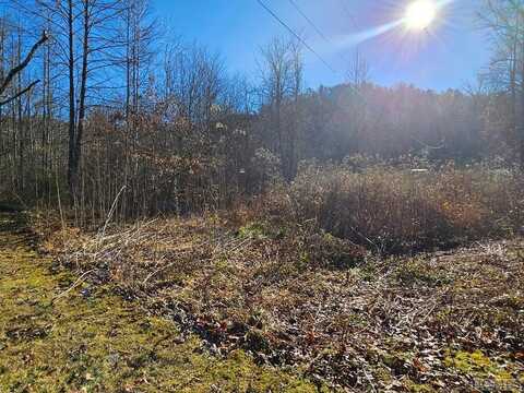 24.74 AC East Fork Road, Sylva, NC 28779