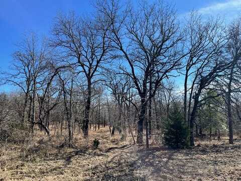 Lot 33 Zebra Crossing, Larue, TX 75770