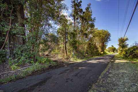 PECK RD, VOLCANO, HI 96785