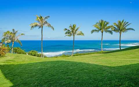 3700 KAMEHAMEHA RD, Princeville, HI 96722
