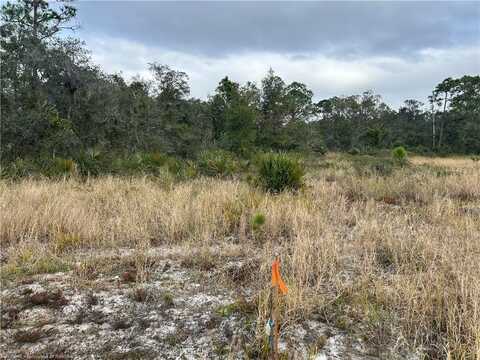 Tbd (parcel #2) CRAWFORD Court, Sebring, FL 33875