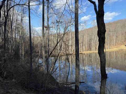 tbd WARES GAP RD, AMHERST, VA 24521