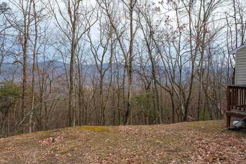 648 BUTTERCUP DR, MATHIAS, WV 26812