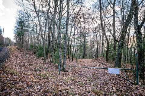 Lot 22 BUCK RIDGES RD, FRANKLIN, WV 26807