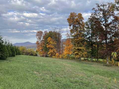 120 KESWICK CT, ROCKINGHAM, VA 22801