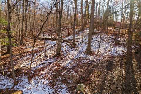 Lot 165 SNEAD CIR, MCGAHEYSVILLE, VA 22840