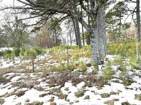 Vacant Land PEARCY Road, Pearcy, AR 71964