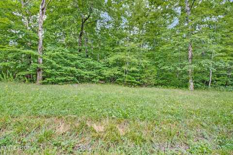 2.2 Acres Simmons Rd, Pikeville, TN 37367