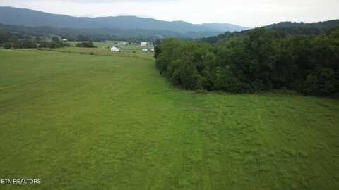 3 Rutledge Lot 3 Pike, Blaine, TN 37709