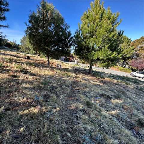 7826 Evergreen Drive, Kelseyville, CA 95451