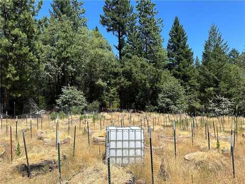 26897 Bear Creek Road, Upper Lake, CA 95485