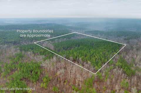 +/- 38 Acres Rock Springs Rd, Jacksons Gap, AL 36861