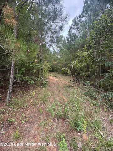 0 Rock Springs Rd, Jacksons Gap, AL 36861