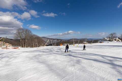 214 TIMBERS CONDOS, WINTERGREEN RESORT, VA 22967