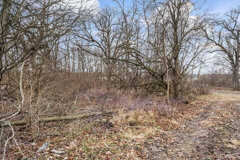 Lot 8 850 S, Brookston, IN 47923