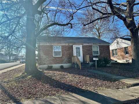 419 Franklin Street, Fredericktown, MO 63645