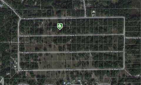 8333 W ELAINE ST, Other City - In The State Of Florida, FL 34428