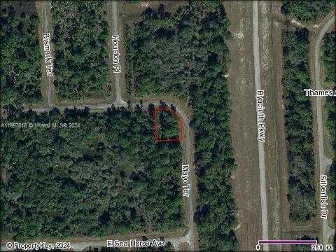 319 James Irwin Terr, BANYAN VILLAGE, Labelle, FL 33935