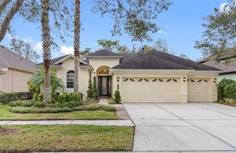 20408 WALNUT GROVE LANE, TAMPA, FL 33647