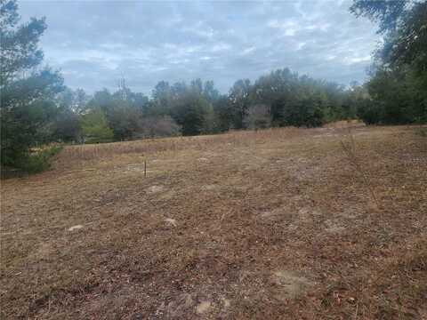 2407 JACKSON STREET, INVERNESS, FL 34453