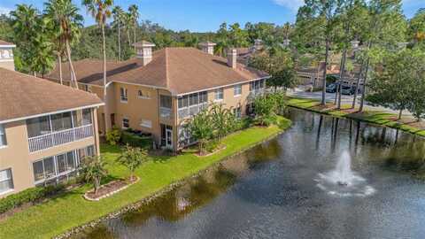 4251 PRESERVE PLACE, PALM HARBOR, FL 34685