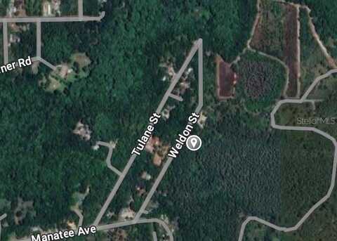 WELDON, NEW PORT RICHEY, FL 34654