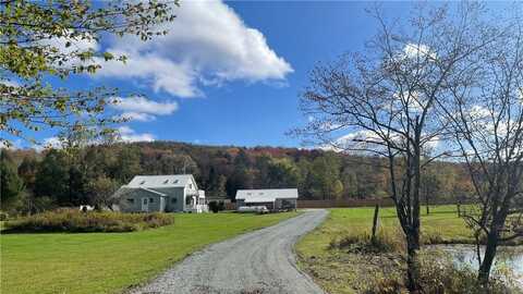 141 Bonnie Brook Road, Roscoe, NY 12776