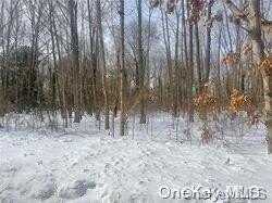 Lot 2 Hobson Avenue, Saint James, NY 11780