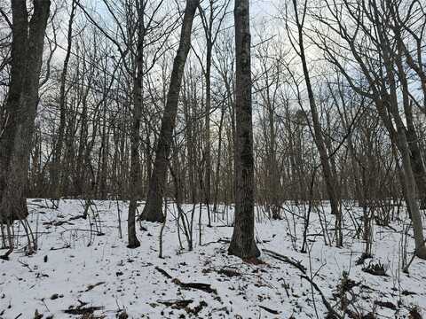 Lot 20.001 Shawanga Lodge Road, Wurtsboro, NY 12790