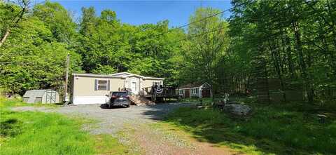 27 Birch Lane, Livingston Manor, NY 12768