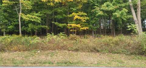 Lot 1 Bethlehem Road, New Windsor, NY 12553