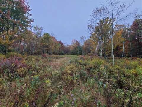 116 Voss Road, Claryville, NY 12725