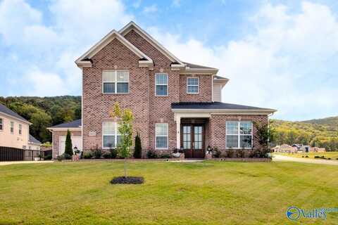 8102 Goose Ridge Drive, Owens Cross Roads, AL 35763