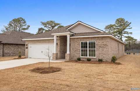 4820 Benjamins Bloom Loop, Huntsville, AL 35810