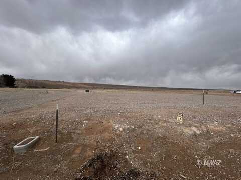 Coyote, Littlefield, AZ 86432