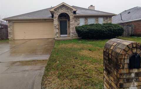 6227 St Leonard Drive, Arlington, TX 76001