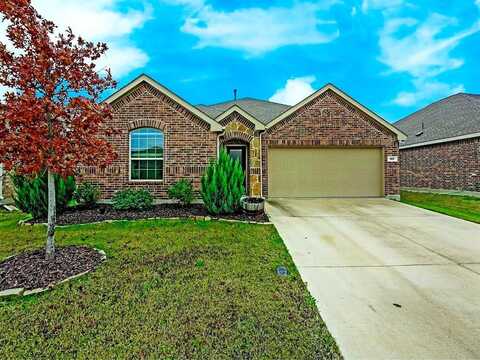 907 Spruce Lane, Princeton, TX 75407