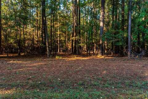 Tbd Wildwood Trail, Mount Vernon, TX 75457