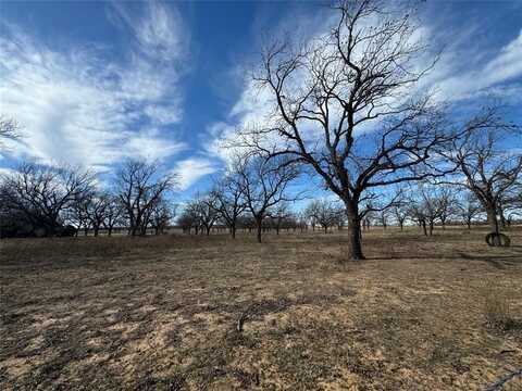 Tbd Highway 6, Carbon, TX 76448