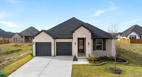 824 Mountain Aloe Drive, Justin, TX 76247