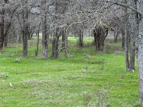 Lot14 Blk1 Tbd SH 171, Covington, TX 76636