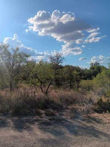 0 Shady Oaks Drive, Bridgeport, TX 76426
