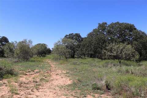 15 Ac. Tbd,Tract 2 County Road 186, Gorman, TX 76454