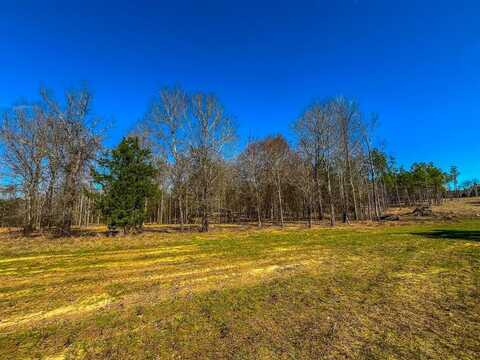 Tract 3 County Road 1713, Jacksonville, TX 75766