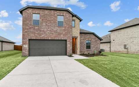 705 Metallic Tree Lane, Van Alstyne, TX 75495