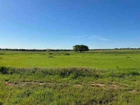 Lot 17 Monarch Court, Poolville, TX 76487