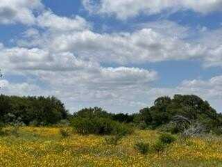 Tbd Fm 2492 & CR 103, Brownwood, TX 76801