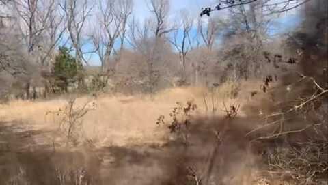 295 Trailride Lane, Nocona, TX 76255